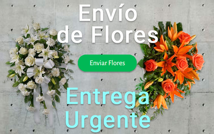 Envío de flores urgente a Tanatorio Lugo